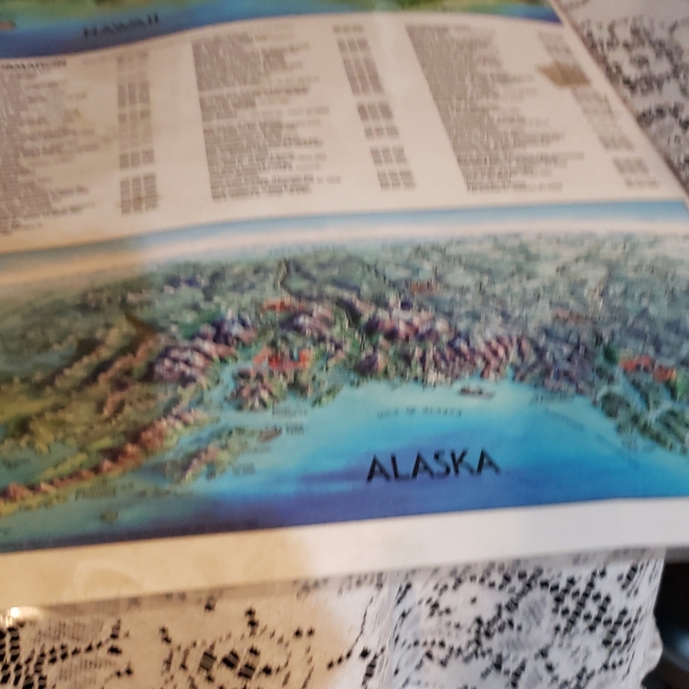 Laminated Map of the United State. - Picture 7 of 9